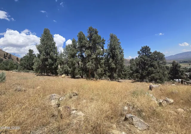 Photo 4 of Land for sale at 1548 Moss Cir, Gardnerville, NV 89410 | MLS# 260009530 | Listing updated on 2026-07-27
