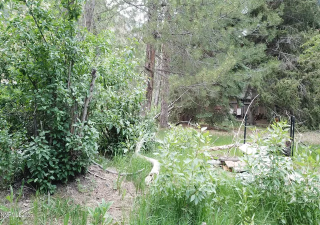 Photo 3 of Single family home for sale at 993 E Side Ave, Jarbidge, NV 89826 | MLS# 260009571 | Listing updated on 2026-07-25
