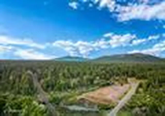 Photo 4 of Land for sale at 671-295 Mooney Rd, Westwood, CA 96137 | MLS# 260011144 | Listing updated on 2026-08-28
