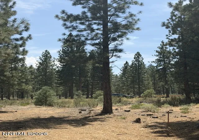 Photo 1 of Land for sale at 144 Redding Way #349, Carson City, NV 89705 | MLS# 260010377 | Listing updated on 2026-08-12