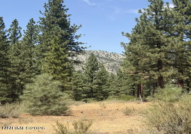 Photo 2 of Land for sale at 144 Redding Way #349, Carson City, NV 89705 | MLS# 260010377 | Listing updated on 2026-08-12