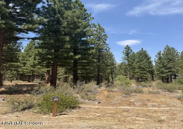 Photo 3 of Land for sale at 144 Redding Way #349, Carson City, NV 89705 | MLS# 260010377 | Listing updated on 2026-08-12