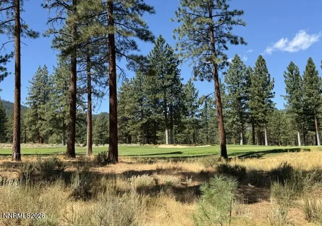 Land for sale at 3288 Summit Camp Wy #C20, Carson City, NV 89705 | MLS# 260011237