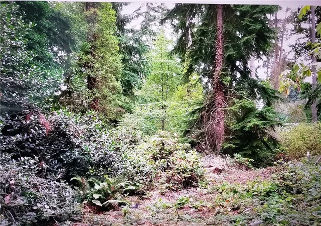 Photo 2 of Sale Pending at 317 Xx 51st Ave Sw, Federal Way, WA 98023 | MLS# NWM1812201 | Listing updated on 2026-09-25