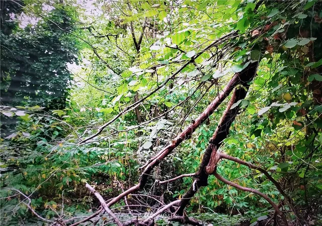 Photo 3 of Sale Pending at 317 Xx 51st Ave Sw, Federal Way, WA 98023 | MLS# NWM1812201 | Listing updated on 2026-09-25