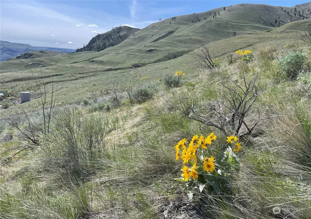 Photo 3 of Sale Pending at 0 E Nna Iowa St, Chelan, WA 98816 | MLS# NWM2050193 | Listing updated on 2026-06-16