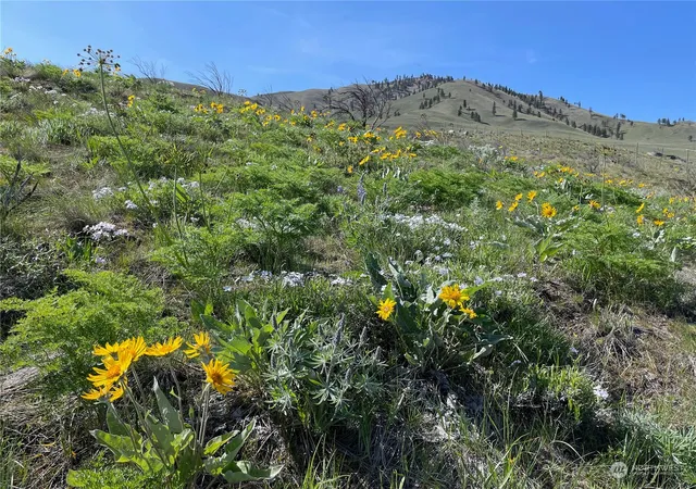 Photo 4 of Sale Pending at 0 E Nna Iowa St, Chelan, WA 98816 | MLS# NWM2050193 | Listing updated on 2026-06-16