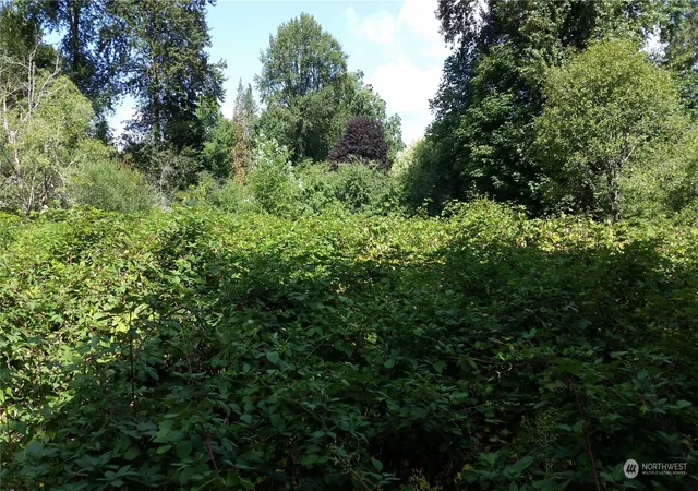 Photo 4 of Sale Pending at 1560 Sycamore Dr SE, Issaquah, WA 98027 | MLS# NWM2185174 | Listing updated on 2026-06-16