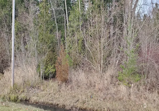 Photo 3 of Sale Pending at 4492 Sweet Rd, Blaine, WA 98230 | MLS# NWM2187625 | Listing updated on 2026-06-16