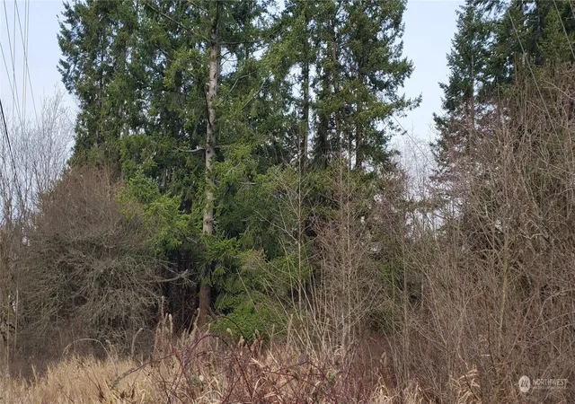 Photo 4 of Sale Pending at 4492 Sweet Rd, Blaine, WA 98230 | MLS# NWM2187625 | Listing updated on 2026-06-16