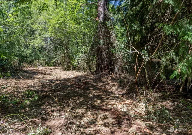Photo 4 of Land for sale at 0 Slippery Pig Way, Poulsbo, WA 98370 | MLS# NWM2261792 | Listing updated on 2026-06-16
