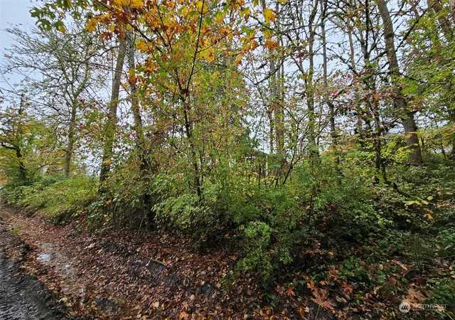 Photo 3 of Land for sale at 1281 State Route 505, Toledo, WA 98591 | MLS# NWM2307156 | Listing updated on 2026-09-23