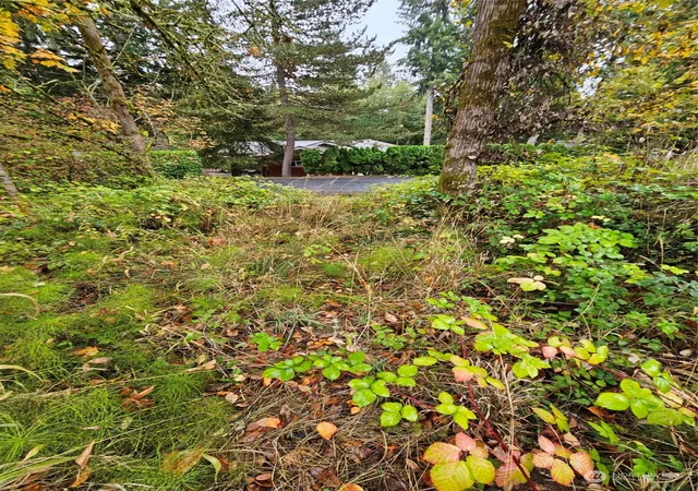 Photo 3 of Land for sale at 1281 State Route 505, Toledo, WA 98591 | MLS# NWM2307156 | Listing updated on 2026-09-23