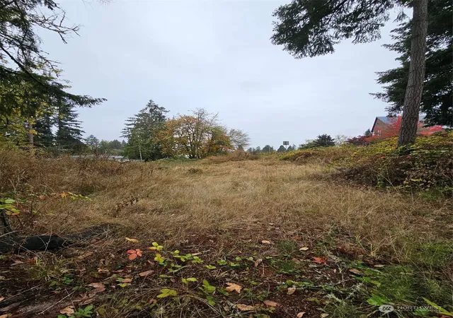 Photo 4 of Land for sale at 1281 State Route 505, Toledo, WA 98591 | MLS# NWM2307156 | Listing updated on 2026-09-23