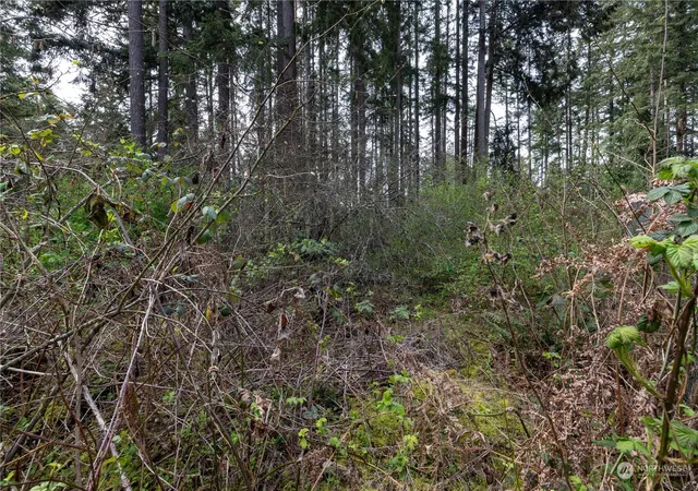 Photo 1 of Sale Pending at 0 (lot 3) 95th Ave Ct E, Graham, WA 98338 | MLS# NWM2308726 | Listing updated on 2026-09-25