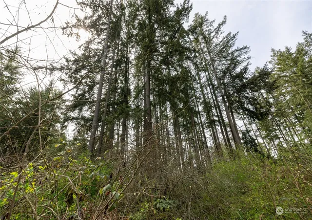 Photo 3 of Sale Pending at 0 (lot 3) 95th Ave Ct E, Graham, WA 98338 | MLS# NWM2308726 | Listing updated on 2026-09-25