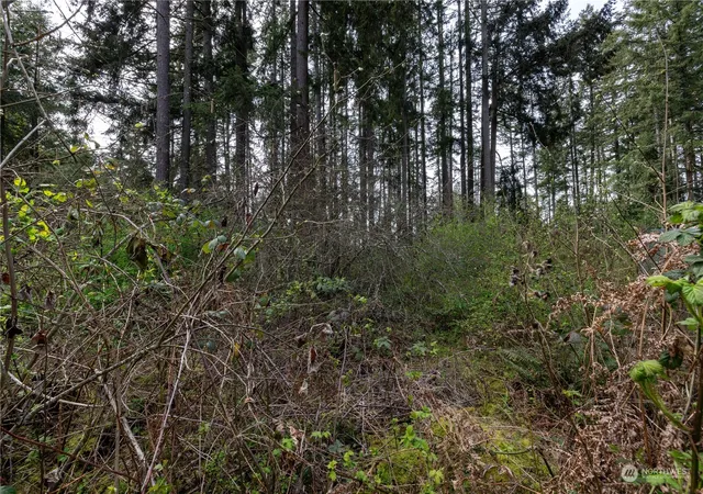 Photo 2 of Sale Pending at 0 (lot 2) 95th Ave Ct E, Graham, WA 98338 | MLS# NWM2311177 | Listing updated on 2026-09-25