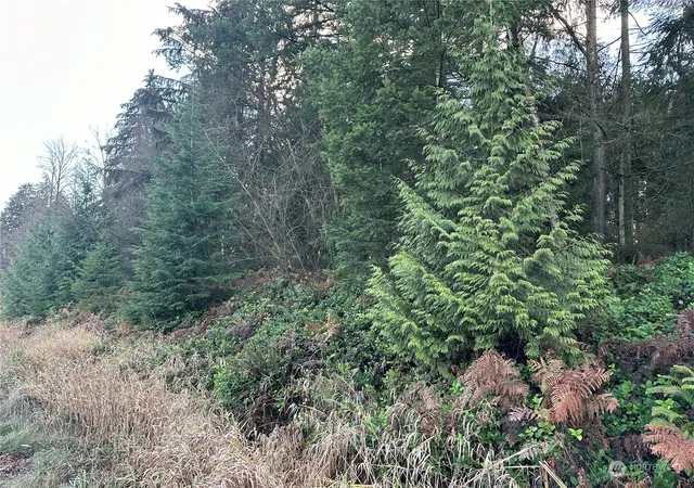 Photo 2 of Sale Pending at 8300 Sr9, Marysville, WA 98270 | MLS# NWM2315322 | Listing updated on 2026-06-16