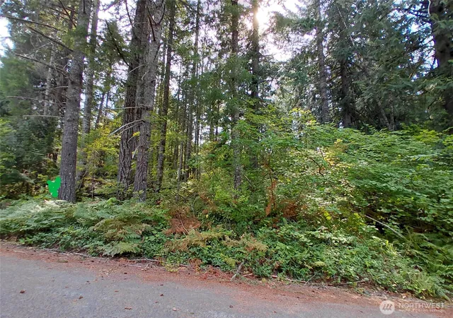 Photo 1 of Land for sale at 78 Fir Park Ln, Packwood, WA 98361 | MLS# NWM2321247 | Listing updated on 2026-10-01