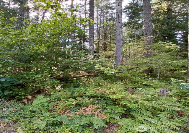 Photo 2 of Land for sale at 78 Fir Park Ln, Packwood, WA 98361 | MLS# NWM2321247 | Listing updated on 2026-10-01