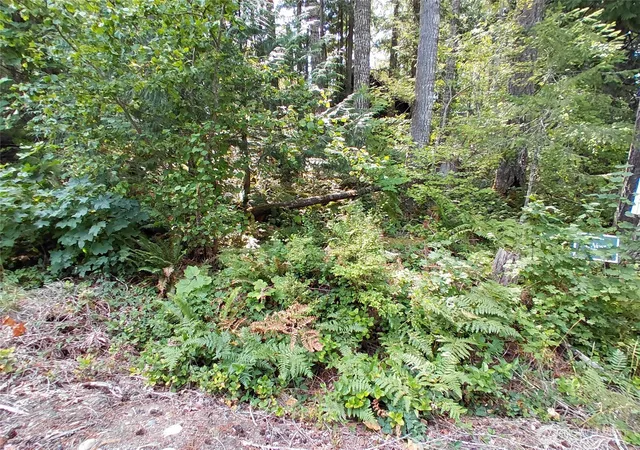 Photo 3 of Land for sale at 78 Fir Park Ln, Packwood, WA 98361 | MLS# NWM2321247 | Listing updated on 2026-10-01