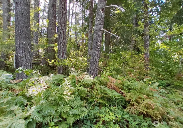 Photo 3 of Land for sale at 78 Fir Park Ln, Packwood, WA 98361 | MLS# NWM2321247 | Listing updated on 2026-10-01