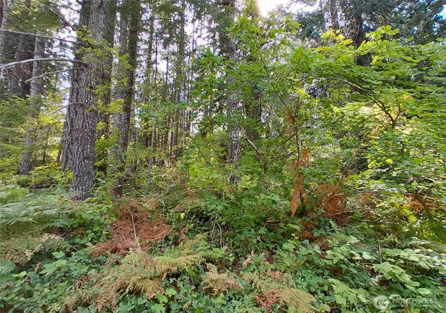 Photo 4 of Land for sale at 78 Fir Park Ln, Packwood, WA 98361 | MLS# NWM2321247 | Listing updated on 2026-10-01