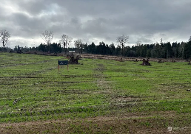 Photo 1 of Land for sale at 238 Ash Mountain Dr, Castle Rock, WA 98611 | MLS# NWM2321668 | Listing updated on 2026-09-29