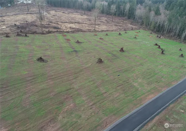 Photo 3 of Land for sale at 238 Ash Mountain Dr, Castle Rock, WA 98611 | MLS# NWM2321668 | Listing updated on 2026-09-29