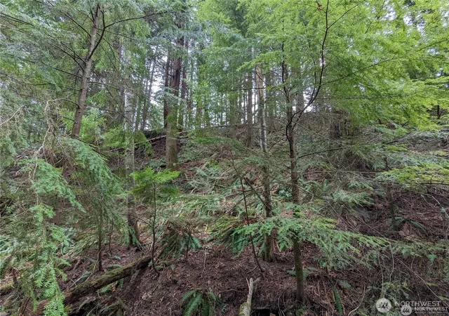 Photo 1 of Land for sale at 14 Black Bear Ct #A, Bellingham, WA 98229 | MLS# NWM2361578 | Listing updated on 2026-07-17