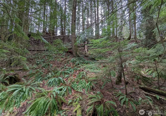 Photo 2 of Land for sale at 14 Black Bear Ct #A, Bellingham, WA 98229 | MLS# NWM2361578 | Listing updated on 2026-07-17