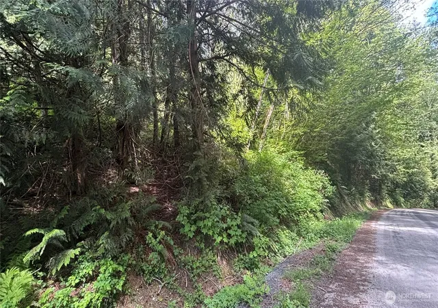 Photo 3 of Sale Pending at 0 Peak Dr, Sedro Woolley, WA 98284 | MLS# NWM2377365 | Listing updated on 2026-09-25