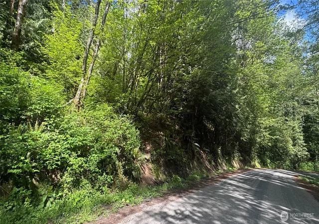 Photo 4 of Sale Pending at 0 Peak Dr, Sedro Woolley, WA 98284 | MLS# NWM2377365 | Listing updated on 2026-09-25