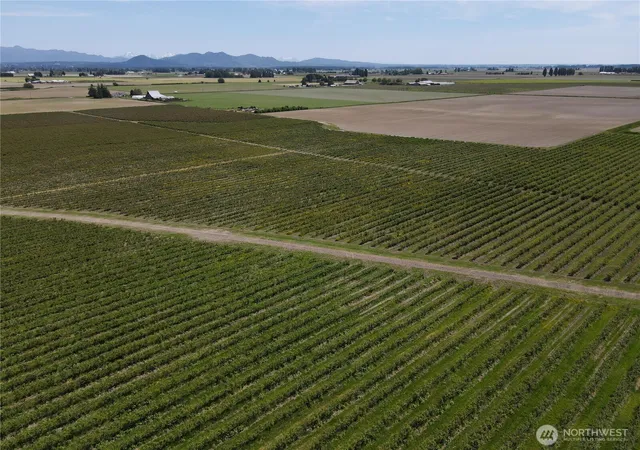 Photo 2 of Sale Pending at 0 Young Rd, Mount Vernon, WA 98273 | MLS# NWM2382018 | Listing updated on 2026-09-25
