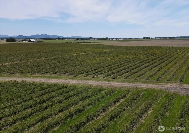 Photo 4 of Sale Pending at 0 Young Rd, Mount Vernon, WA 98273 | MLS# NWM2382018 | Listing updated on 2026-09-25
