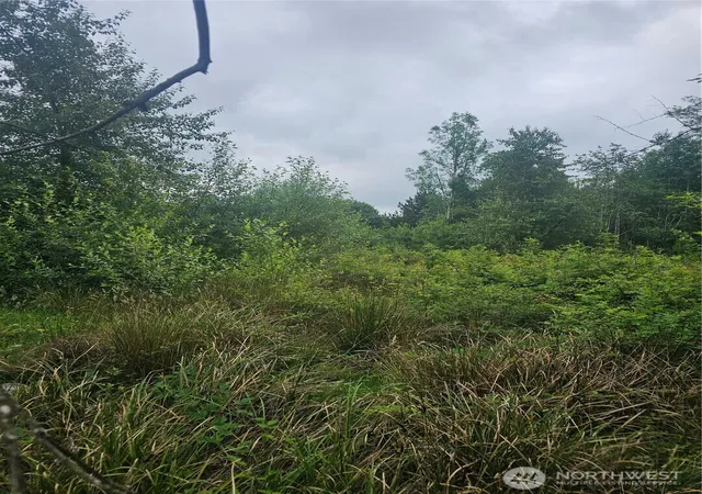 Photo 3 of Sale Pending at 565 Oyler Rd, Ethel, WA 98542 | MLS# NWM2398221 | Listing updated on 2026-08-12