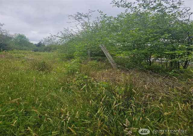 Photo 4 of Sale Pending at 565 Oyler Rd, Ethel, WA 98542 | MLS# NWM2398221 | Listing updated on 2026-08-12