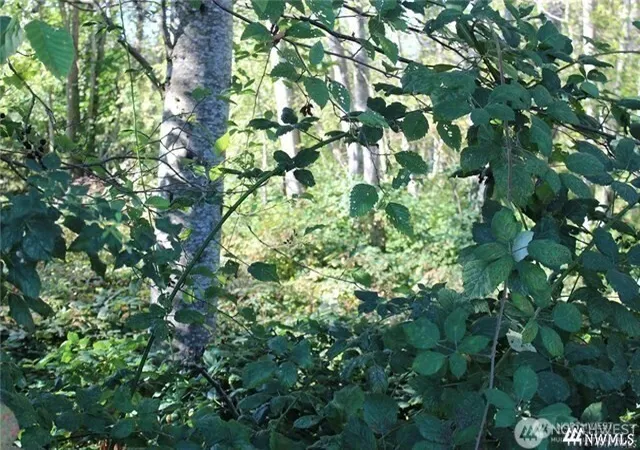 Photo 1 of Sale Pending at 3085 W Maplewood Ave, Bellingham, WA 98225 | MLS# NWM2402349 | Listing updated on 2026-06-16