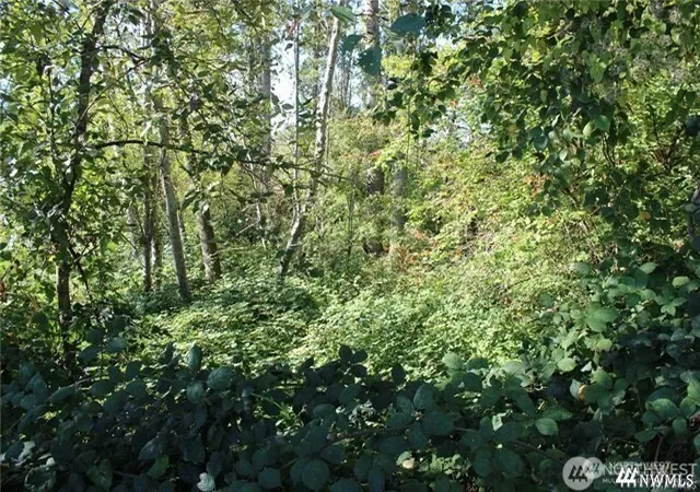 Photo 3 of Sale Pending at 3085 W Maplewood Ave, Bellingham, WA 98225 | MLS# NWM2402349 | Listing updated on 2026-06-16