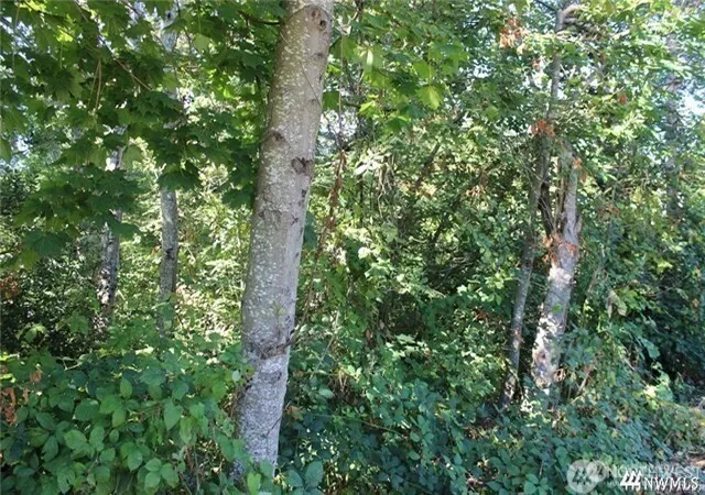 Photo 4 of Sale Pending at 3085 W Maplewood Ave, Bellingham, WA 98225 | MLS# NWM2402349 | Listing updated on 2026-06-16