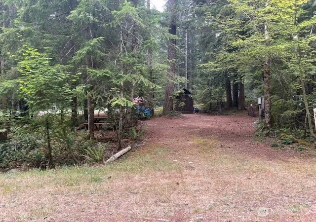 Photo 3 of Sale Pending at 31 N Kitma, Hoodsport, WA 98548 | MLS# NWM2426436 | Listing updated on 2026-09-25