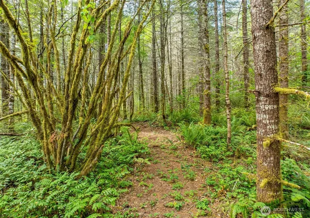 Photo 1 of Land for sale at 0 Lincoln Crk Rd, Rochester, WA 98579 | MLS# NWM2428149 | Listing updated on 2026-09-30