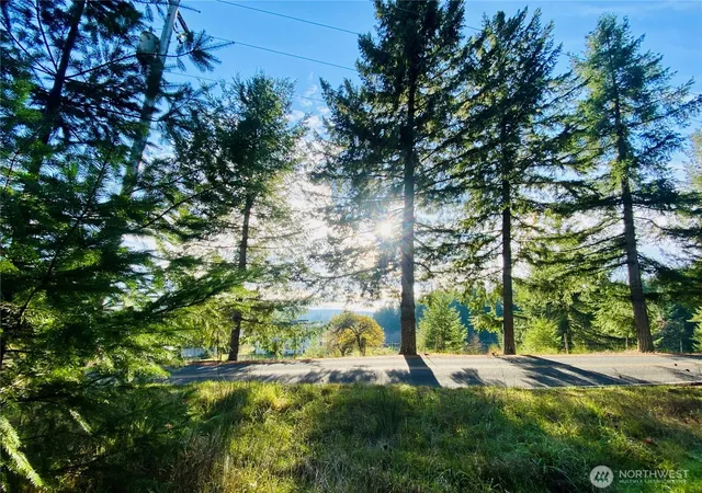 Photo 2 of Land for sale at 0 Lincoln Crk Rd, Rochester, WA 98579 | MLS# NWM2428149 | Listing updated on 2026-09-30