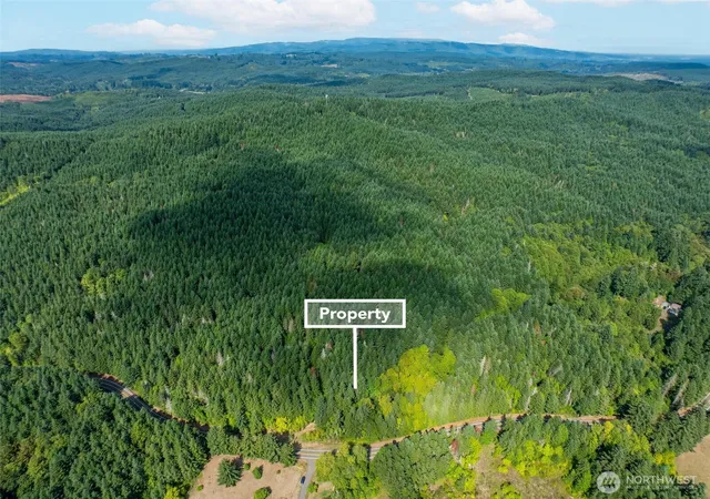 Photo 3 of Land for sale at 0 Lincoln Crk Rd, Rochester, WA 98579 | MLS# NWM2428149 | Listing updated on 2026-09-30