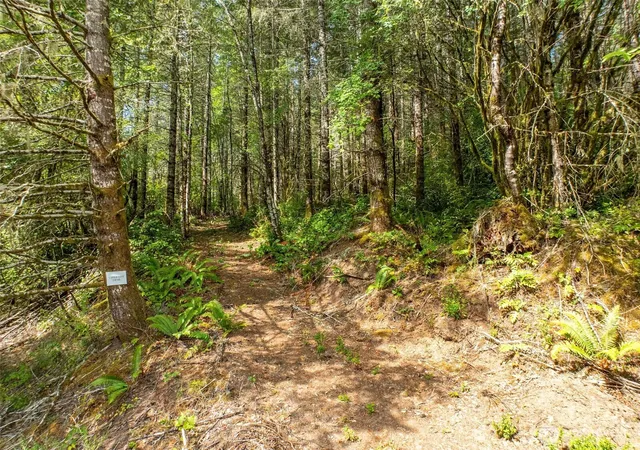 Photo 3 of Land for sale at 0 Lincoln Crk Rd, Rochester, WA 98579 | MLS# NWM2428149 | Listing updated on 2026-09-30