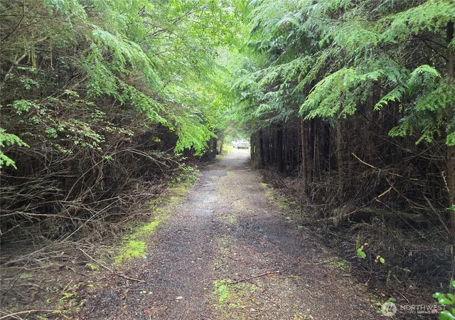 Photo 3 of Sale Pending at 3183 Ocean Beach Rd, Pacific Beach, WA 98571 | MLS# NWM2430095 | Listing updated on 2026-09-25