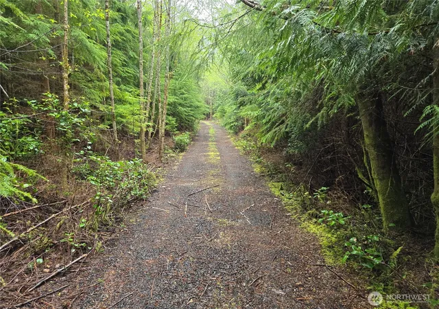 Photo 3 of Sale Pending at 3183 Ocean Beach Rd, Pacific Beach, WA 98571 | MLS# NWM2430095 | Listing updated on 2026-09-25