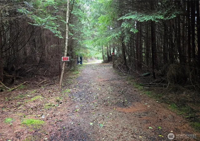 Photo 4 of Sale Pending at 3183 Ocean Beach Rd, Pacific Beach, WA 98571 | MLS# NWM2430095 | Listing updated on 2026-09-25