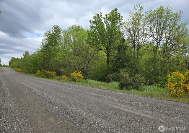 Photo 3 of Land for sale at 5102 Harts Lake Rd S, Roy, WA 98580 | MLS# NWM2442218 | Listing updated on 2026-09-24