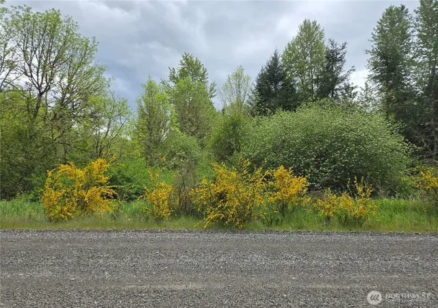 Photo 3 of Land for sale at 5102 Harts Lake Rd S, Roy, WA 98580 | MLS# NWM2442218 | Listing updated on 2026-09-24